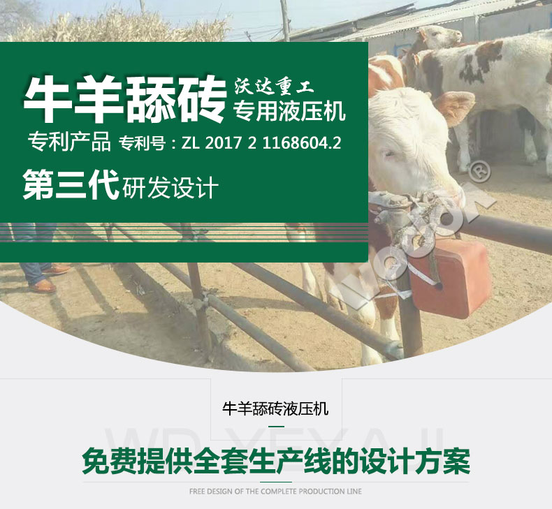 牛羊舔磚專用液壓機(jī) 牛羊舔磚專用液壓機(jī)